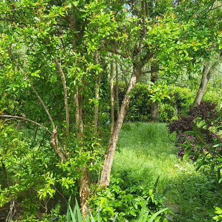 別荘 Private House