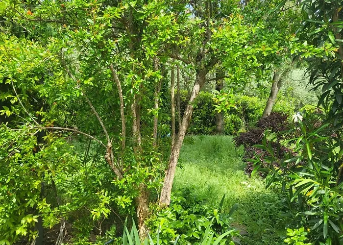 Holiday home Private House