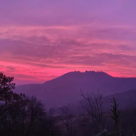 Private House 펜션 *