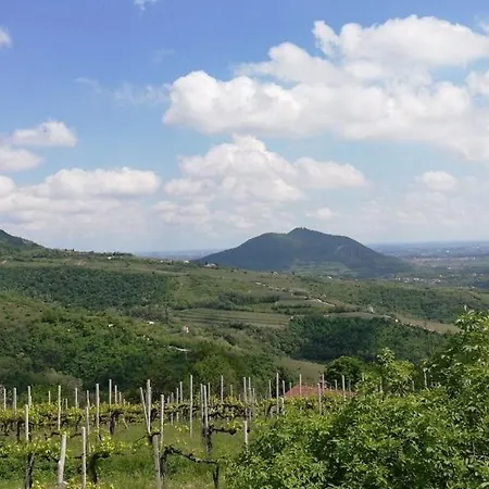 Private House 펜션 *