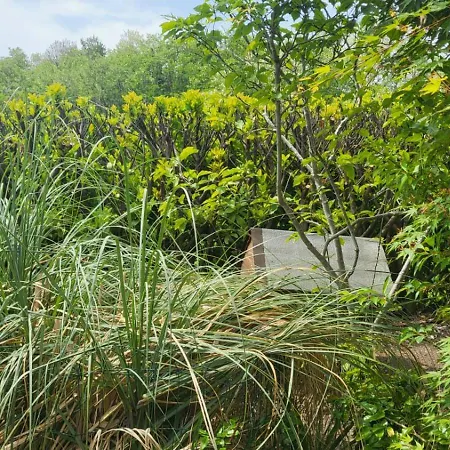 Private House * Baone