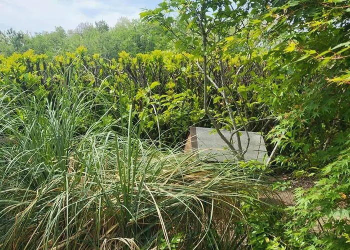 Private House * Baone